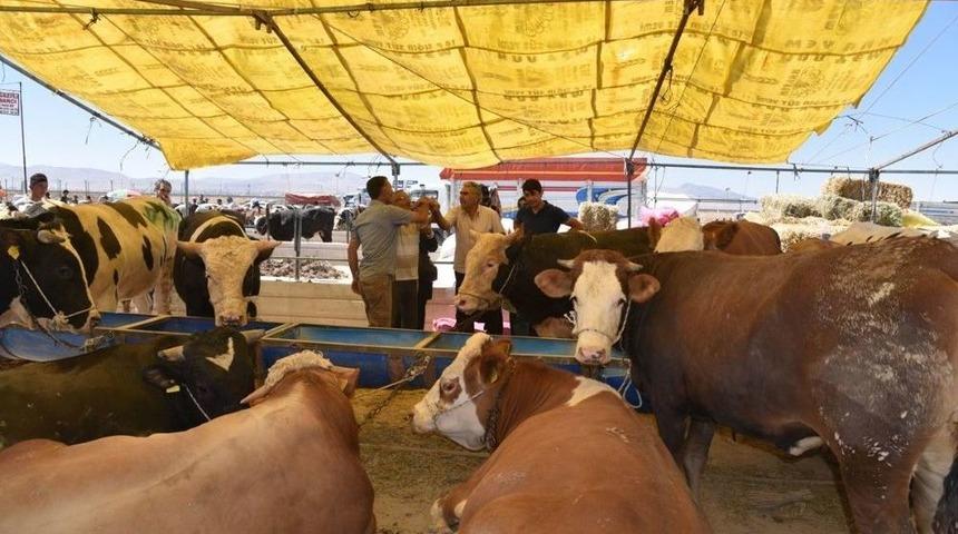 Sel&ccedil;uklu Kurban Pazarında Bayram Bereketi
