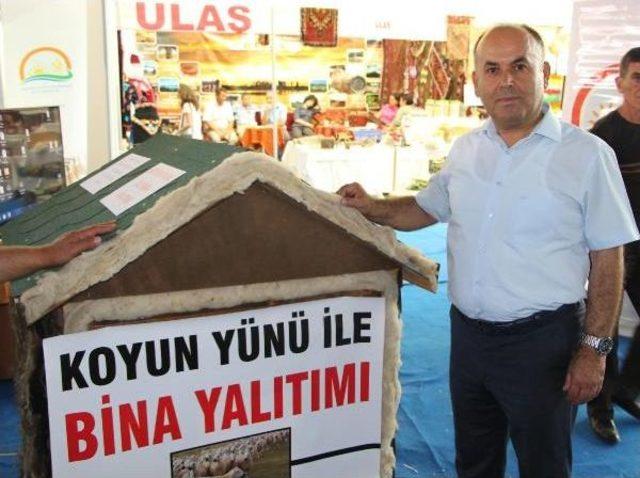 Koyun Yününden Isı Yalıtım Malzemesi