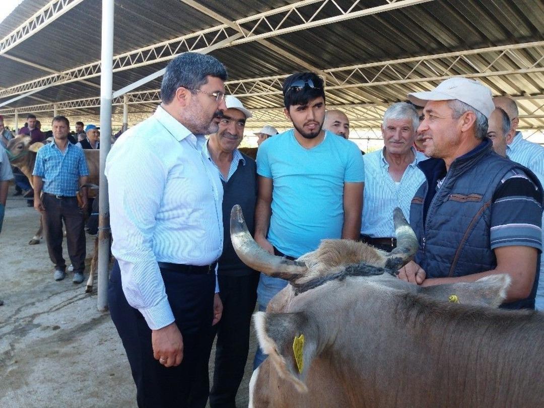 Bu Da "organik" Kurbanlık