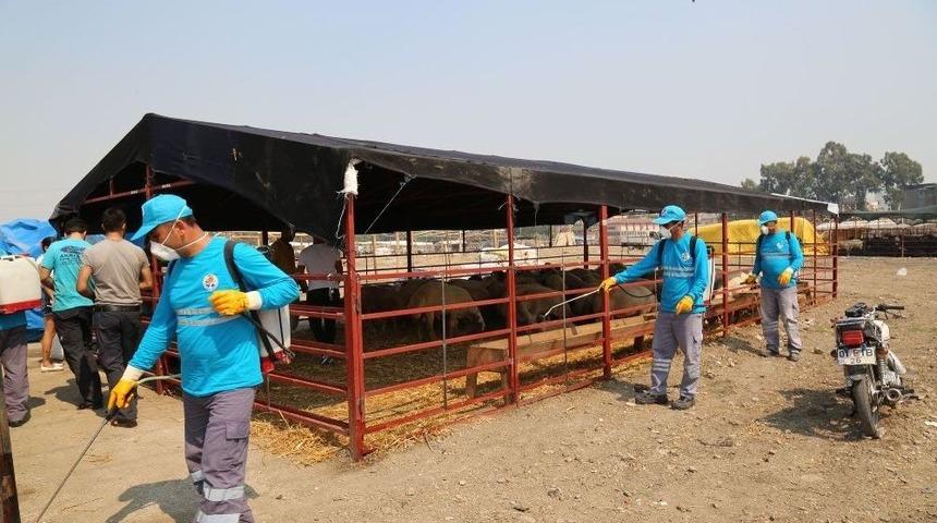 Kurbanlık Satış Ve Kesim Merkezleri İla&ccedil;lanıyor