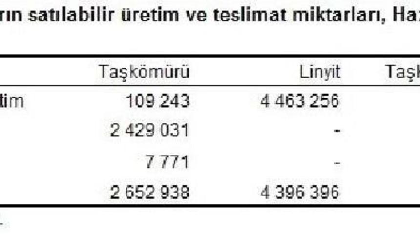 Yılın Ilk Yarısında Termik Santrallerde 32 Milyon Ton K&ouml;m&uuml;r Yakıldı