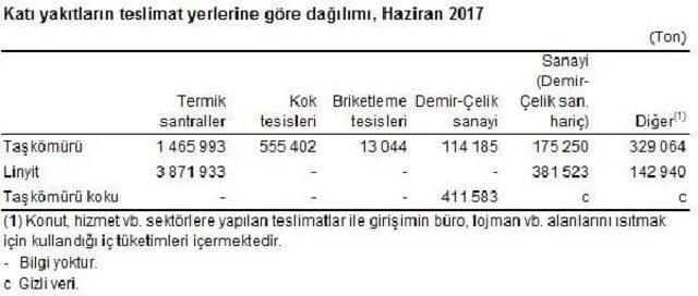 Yılın Ilk Yarısında Termik Santrallerde 32 Milyon Ton Kömür Yakıldı