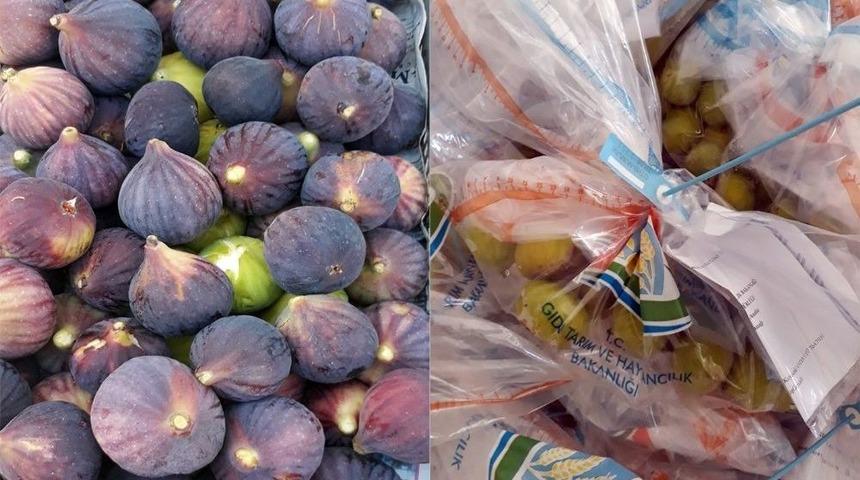 Aydın İnciri Temiz &Ccedil;ıktı