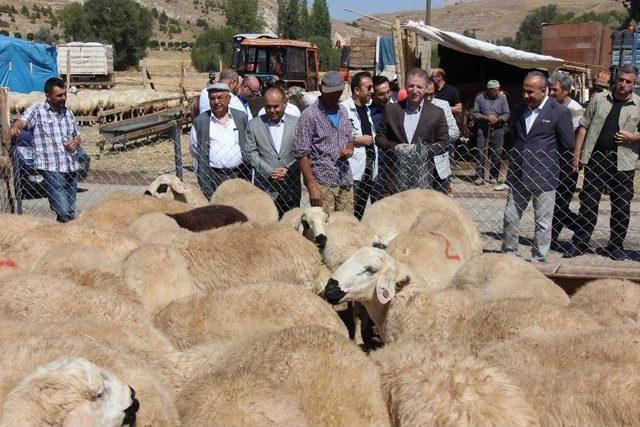 Vali Gül, Kurban Pazarını Gezdi