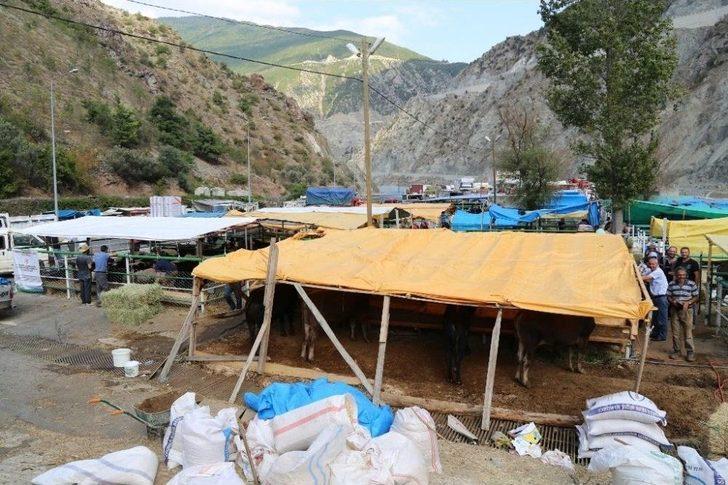Artvin’de ‘kesmece Kurbanlık’ G4