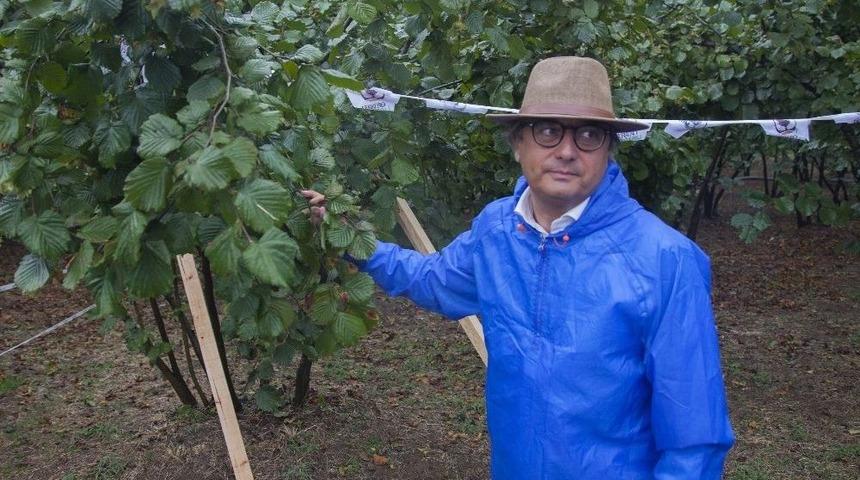 Ferrero, Fındığı Markaja Aldı