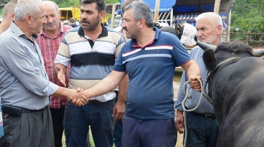 Kurbanlıklar Fındığa Takıldı