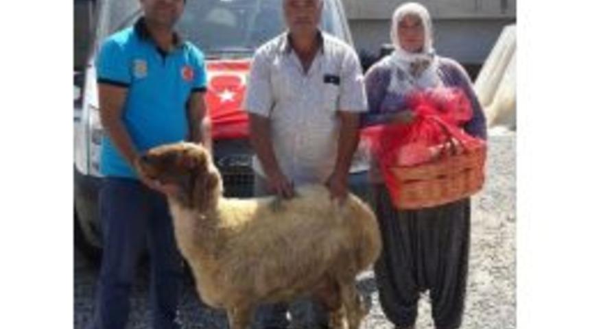 Tarsus Belediyesi 68 Şehit Ailesine Kurban Dağıttı