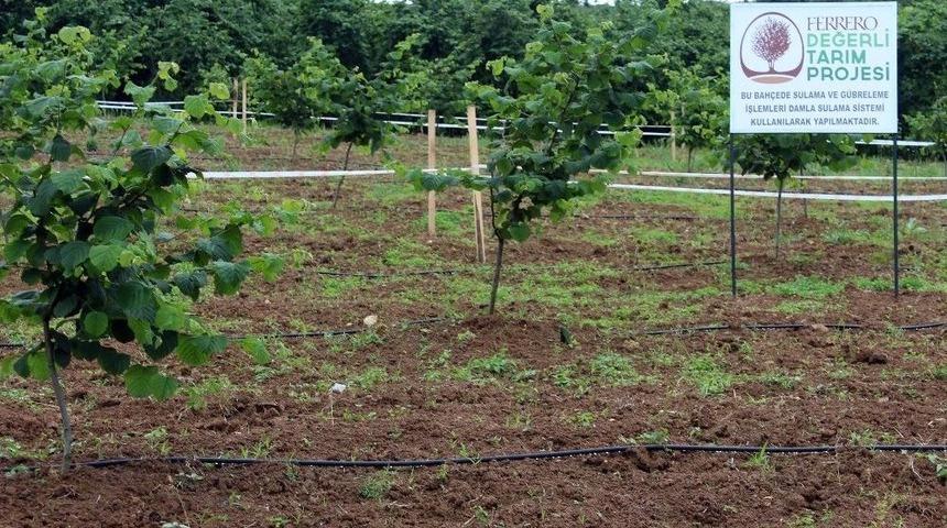 Ferrero Fındık Genel M&uuml;d&uuml;r&uuml; Stefano Gagliasso: