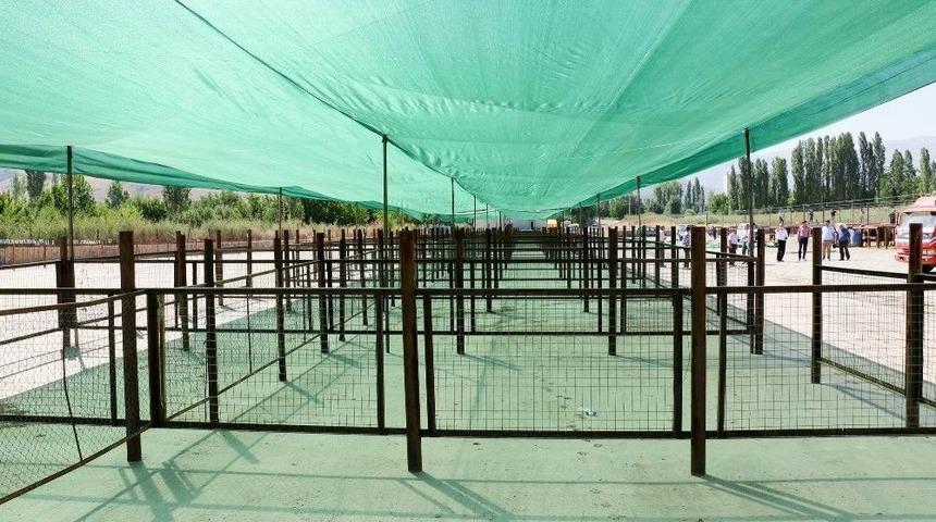 Yahyalı Bayrama Hazır