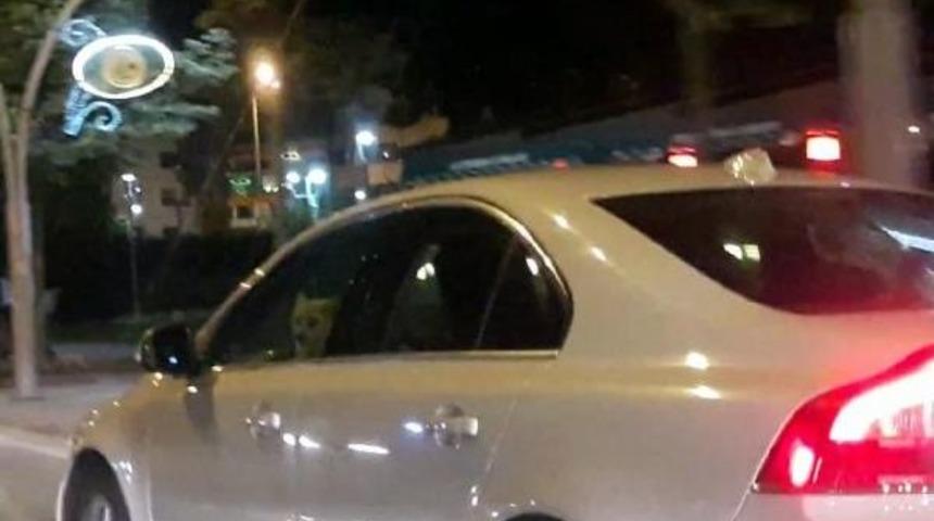 Otomobilin Sürücü Koltuğundaki Köpek Şaşırttı