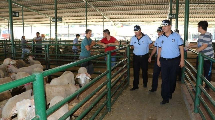 Manisa B&uuml;y&uuml;kşehir Belediye Zabıtası Kurban Bayramı&rsquo;na Hazır