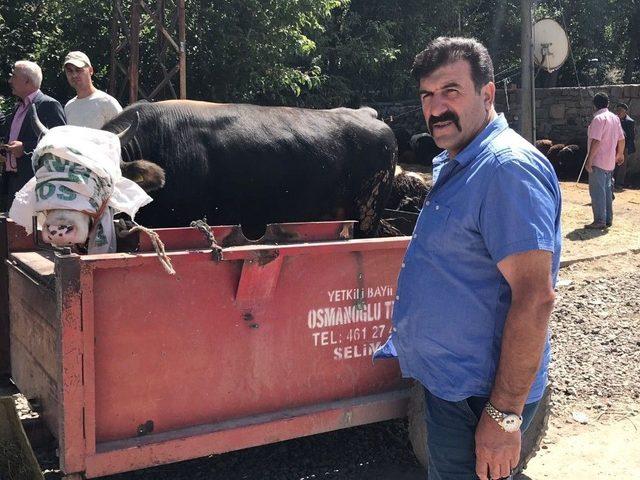 Sarıkamış’ta Hayvan Pazarı’nda Durgunluk Yaşanıyor