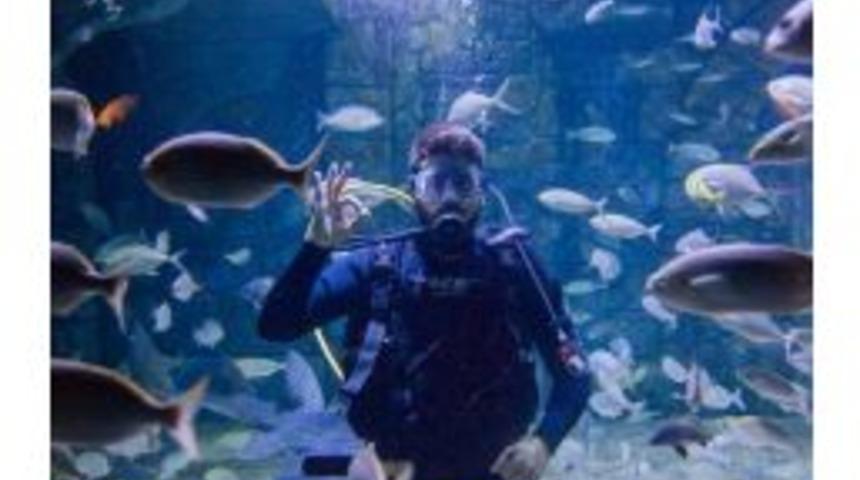 İstanbul&rsquo;da K&ouml;pekbalıklarıyla Dalış İmkanı