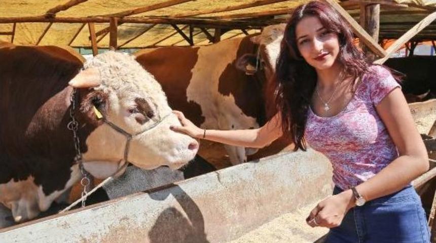 Osman Yardımcı'dan Marketlerde Taksitli Kurban Satışına Tepki