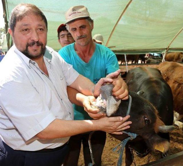 Osman Yardımcı'dan Marketlerde Taksitli Kurban Satışına Tepki