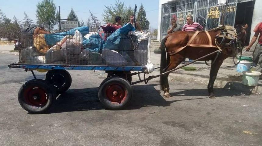 Otobanda At Arabası İle Yolculuk