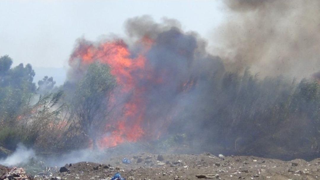 Balıkesir&rsquo;de Sazlık Yangını...kuşların G&ouml;&ccedil; Evi Yandı