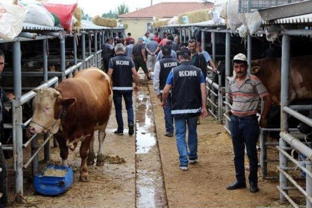 Polisten Hayvan Pazarı Esnafına Sahte Para Bilgilendirmesi