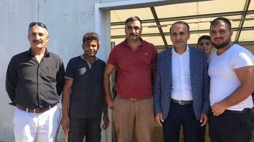 İstanbul&rsquo;un En Ucuz Hayvan Pazarı Arnavutk&ouml;y&rsquo;de