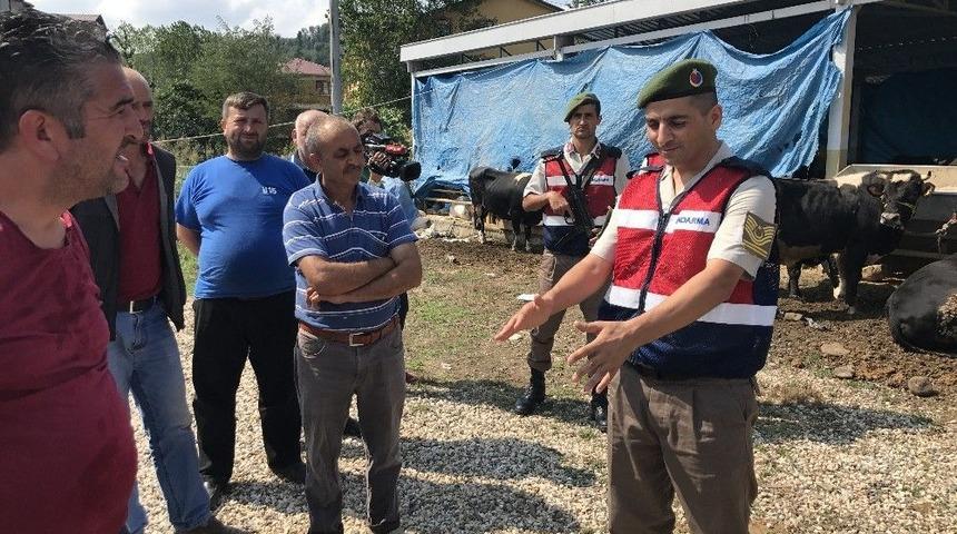 Jandarmadan Hayvan Satıcılarına &lsquo;sahte Para&rsquo; Uyarısı