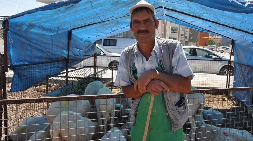 Kurbanlıklar Satıcıya Ucuz, Alıcıya Pahalı Geliyor