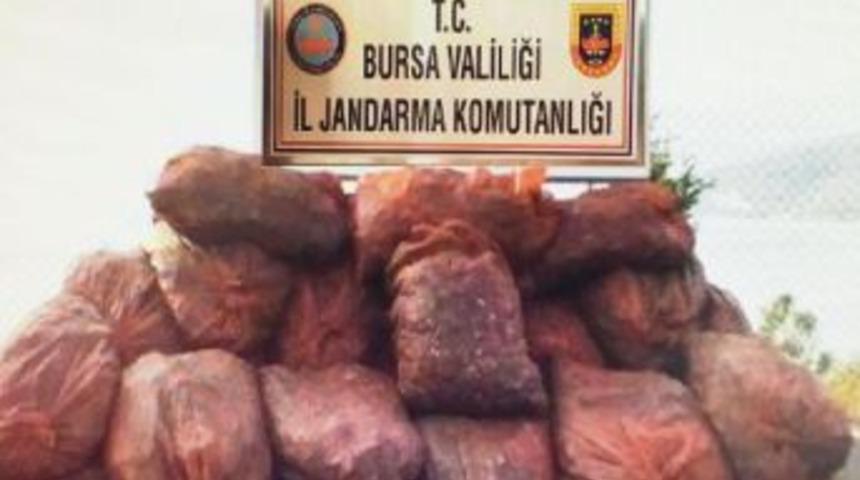 Bursa&rsquo;Da Ka&ccedil;ak Avlanan 22 Ton Midye Ele Ge&ccedil;irildi
