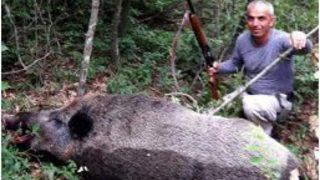 Avcılar 200 Kilo Ağırlığında Yaban Domuzu Vurdu