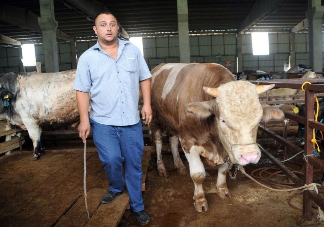 Bafra&rsquo;da Kurbanlık Hayvanlara Rağbet Yok