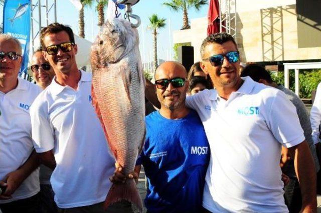 2017 Most Bodrum Turnuvası nda 116 Kiloluk Orkinos Rekoru 2