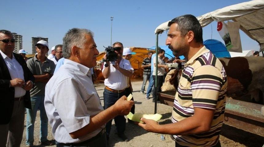 Başkan B&uuml;y&uuml;kkılı&ccedil; Serkent Kurban Pazarını Denetledi