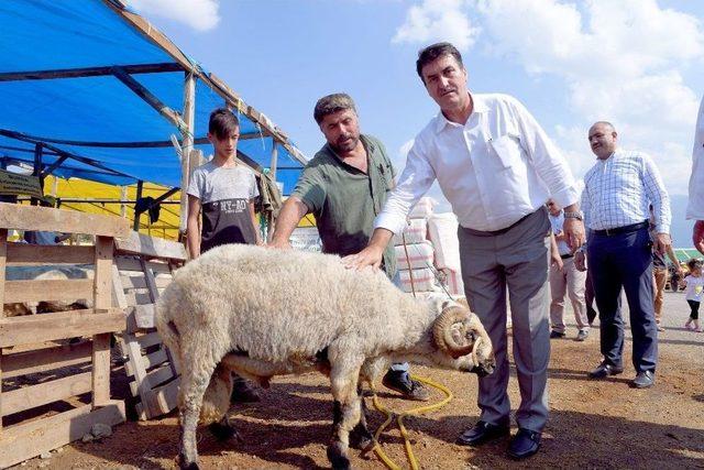 Dündar, Kurban Pazarlığında Arabuluculuk Yaptı