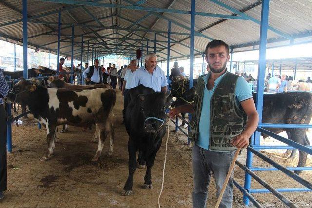 Vezirköprü’de Kurban Pazarında Durgunluk