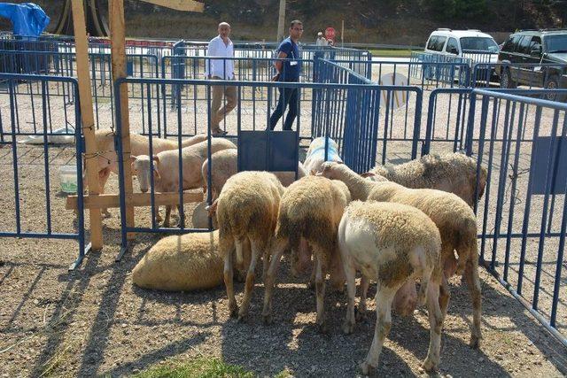 Kurban Yakalama Timi Göreve Hazır