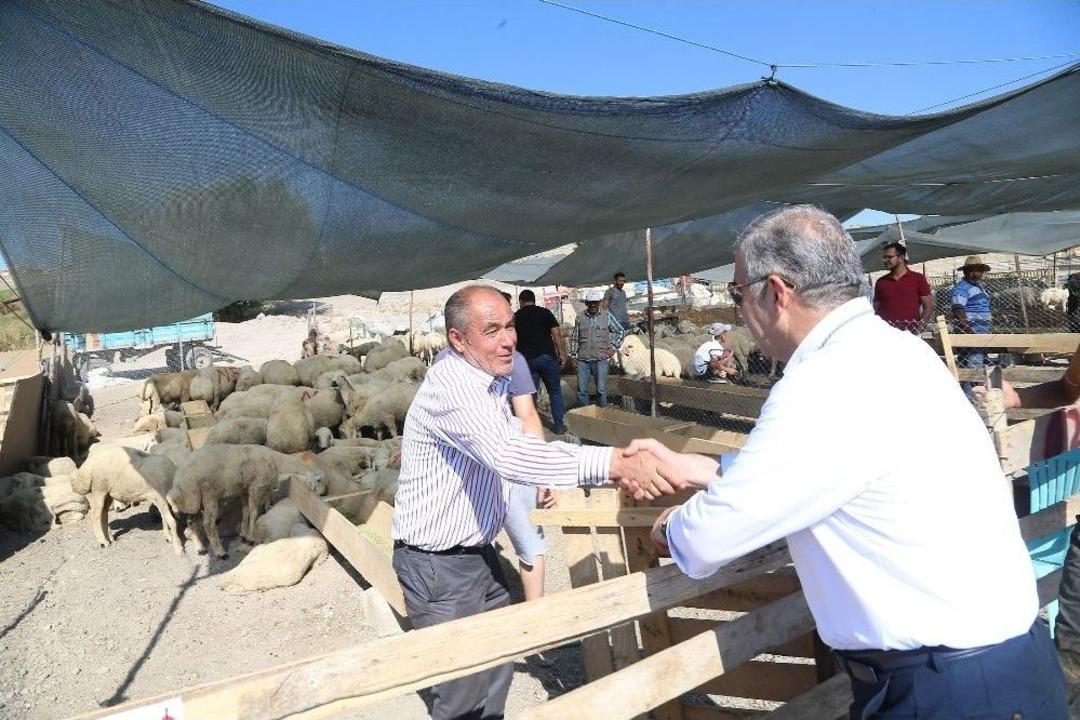 Başkan &Ccedil;elik Kurban Pazarı&rsquo;nda