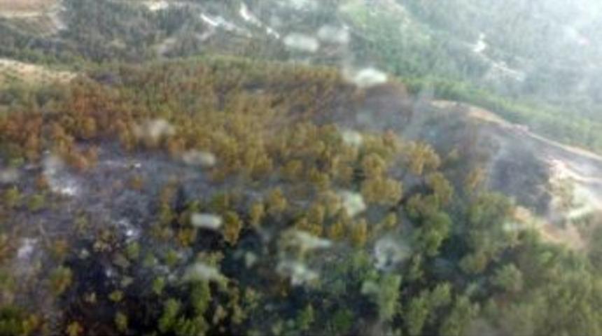 Amanoslar’daki Orman Yangını Kontrol Altında