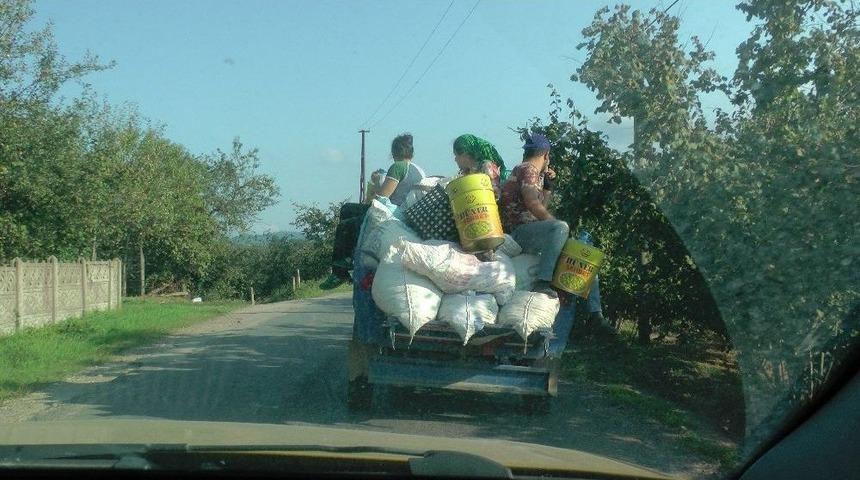 Pat Pat Sırtında Yolculuk S&uuml;r&uuml;yor