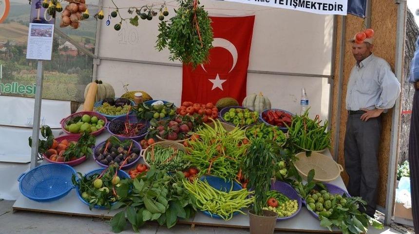 Yenişehir Festivale Hazırlanıyor