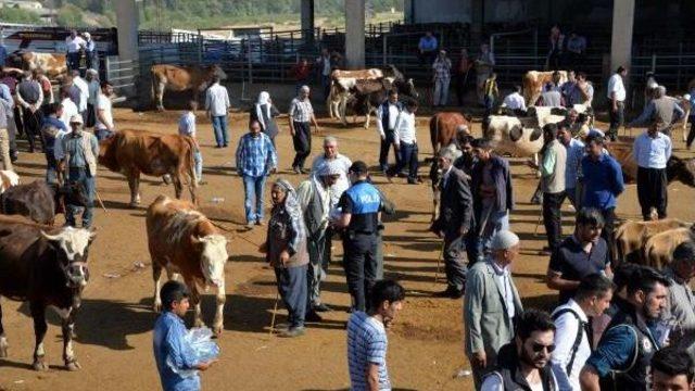 Diyarbakır Polisinden Dolandırıcılara Karşı 3 Dilde Uyarı