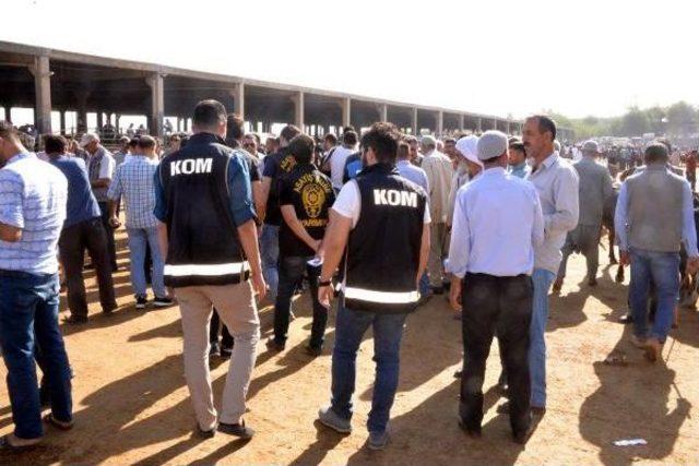 Diyarbakır Polisinden Dolandırıcılara Karşı 3 Dilde Uyarı