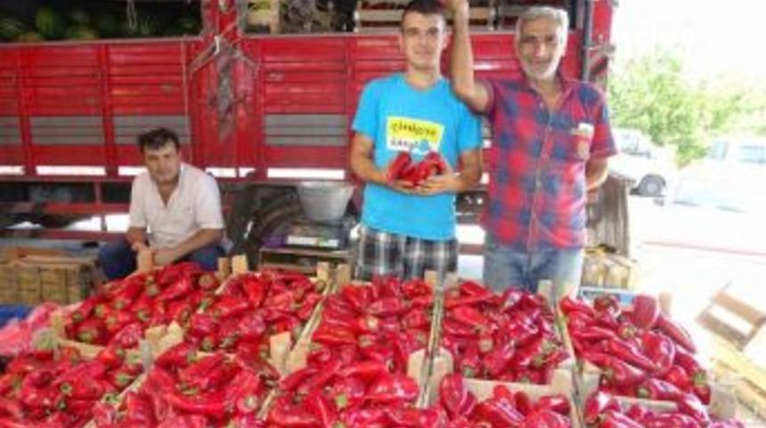 Kırmızı Biberin Fiyatı El Yakıyor