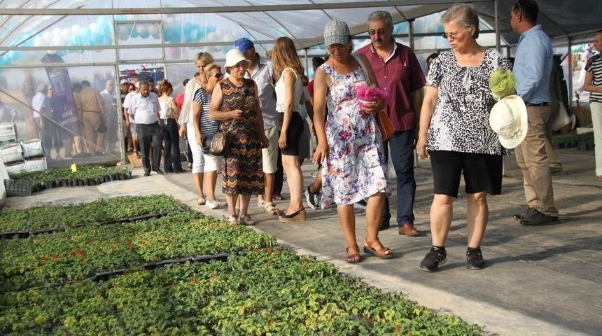 Didim Belediyesinin Serası Drv Projesinde