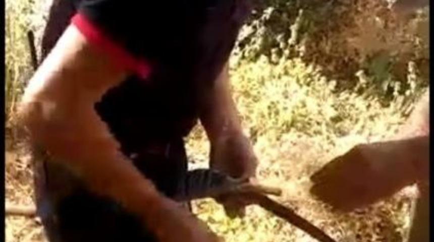 Ağa&ccedil;ta Takılı Kalan Kuş Kurtarıldı