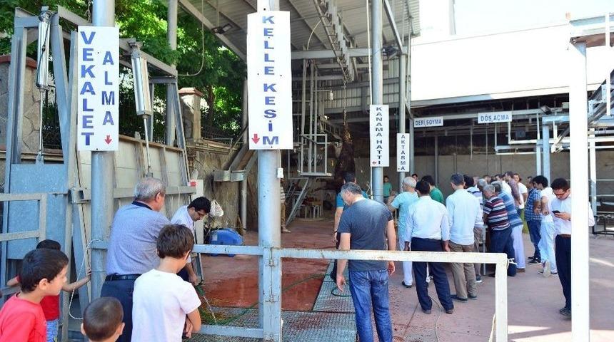 Yıl-mek&rsquo;ten Kurban Kesim Kursu
