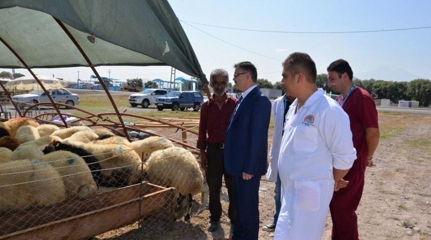 Tarım İl M&uuml;d&uuml;rl&uuml;ğ&uuml;&rsquo;nden Kurban Alacak Olanlara B&uuml;y&uuml;k Hizmet