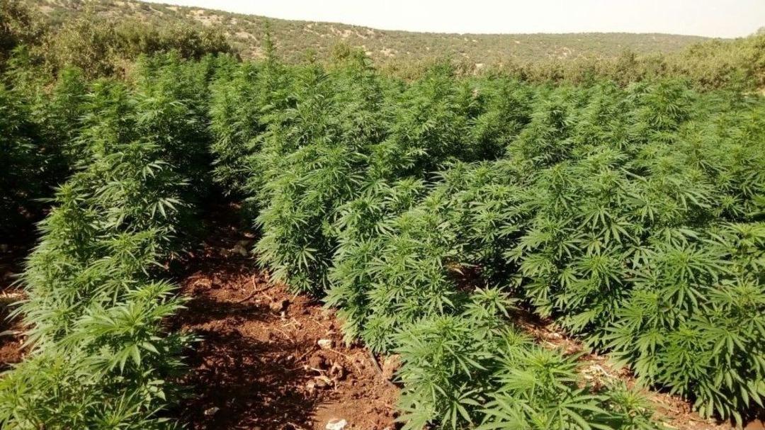 Diyarbakır&rsquo;da Uyuşturucu Operasyonu