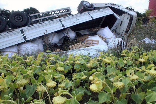 Tekirdağ’da Tır Ayçiçeği Tarlasına Devrildi