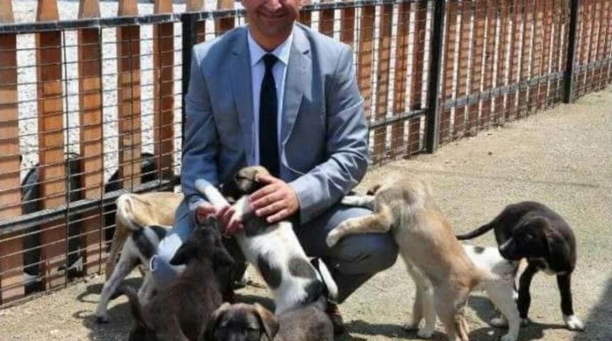 B&uuml;y&uuml;kşehirden Petshop A&ccedil;acaklara &Ccedil;ağrı