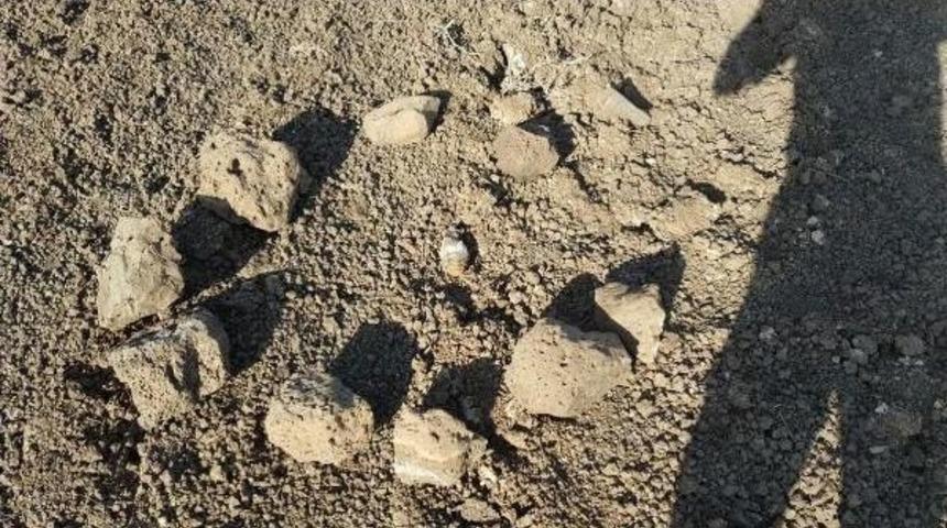 Derik'te Çobanın Bulduğu El Bombası Imha Edildi