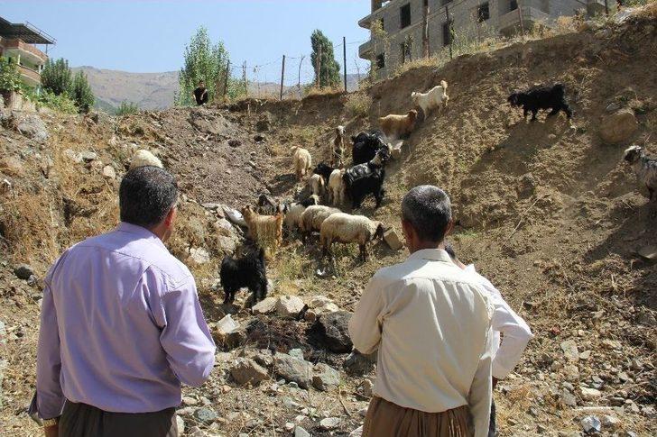 Şemdinli’de Bayram Telaşı G1